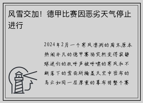 风雪交加！德甲比赛因恶劣天气停止进行
