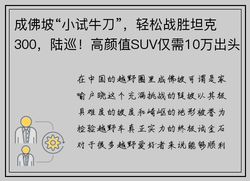 成佛坡“小试牛刀”，轻松战胜坦克300，陆巡！高颜值SUV仅需10万出头
