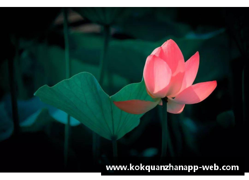 kok全站app落霞飞鹭，荷碧花艳——季国强的诗意世界